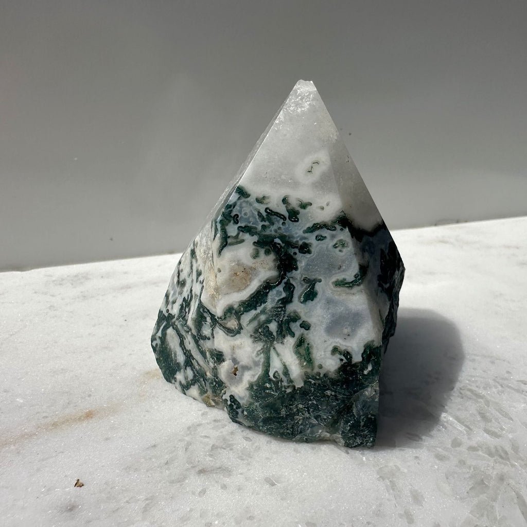 Tree Agate crystal point with blunt tip