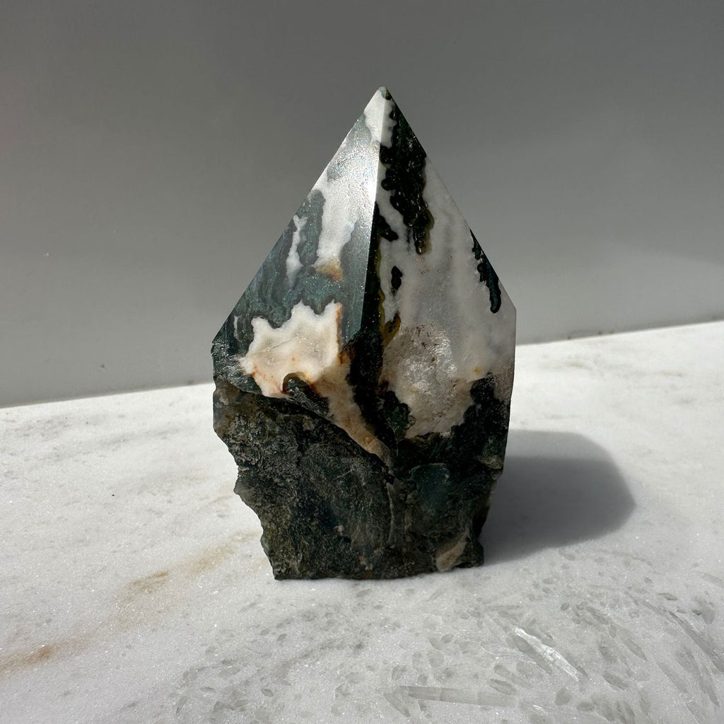Tree Agate Crystal Point with rough and polished edges