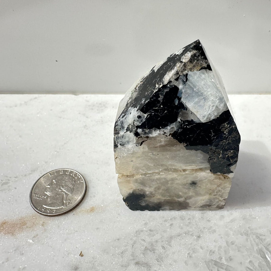 Rainbow Moonstone Crystal Point, next to a quarter for scale